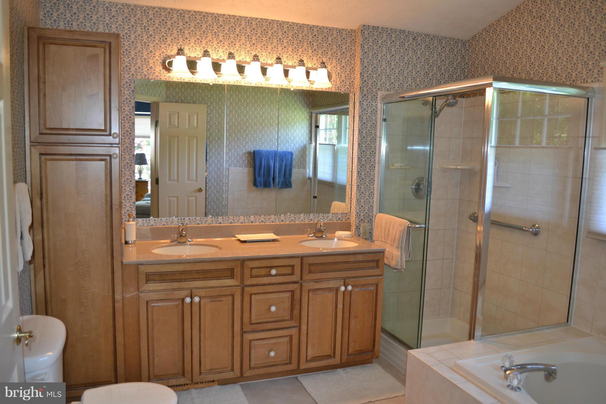 1213 Brookview Road Towson, MD 21286 - Photo 19 of 29 Bath (Master)