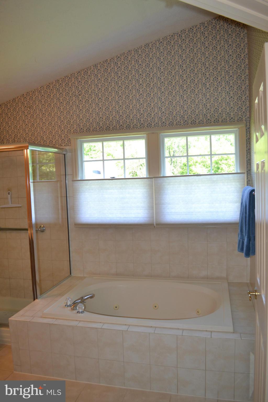 1213 Brookview Road Towson, MD 21286 - Photo 20 of 29 Bath (Master)