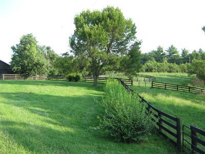 1742 North Middletown Road Paris, KY 40361 - Photo 41 of 51 Photo 43
