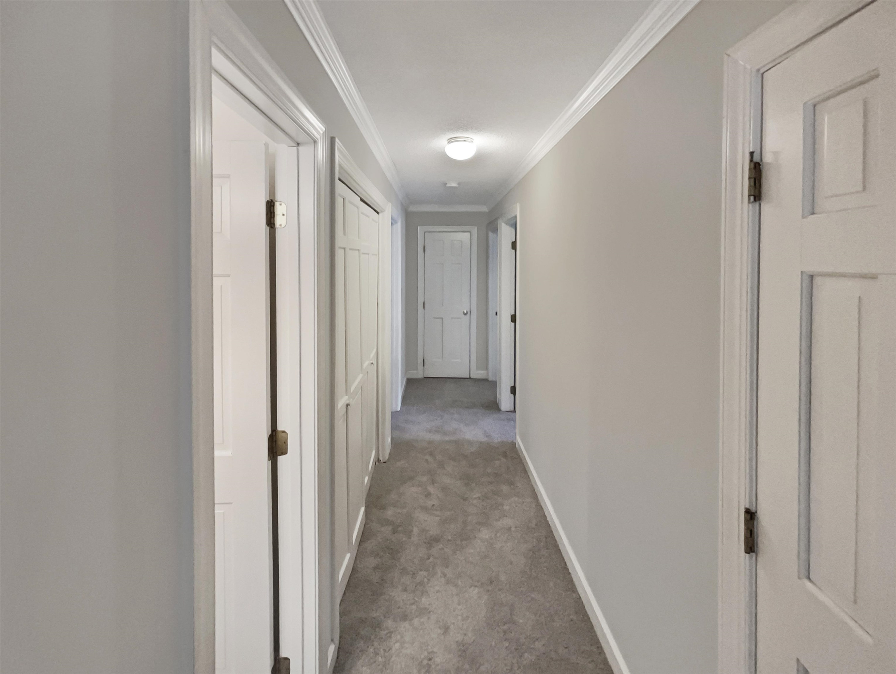 7605 Valley Run Drive Raleigh, NC 27615 - Photo 7 of 18 Photo 7