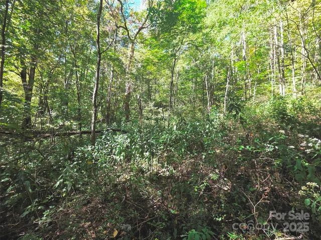 $29,500 | 123 Live Oak Loop, Unit 29, Waynesville, NC 28785