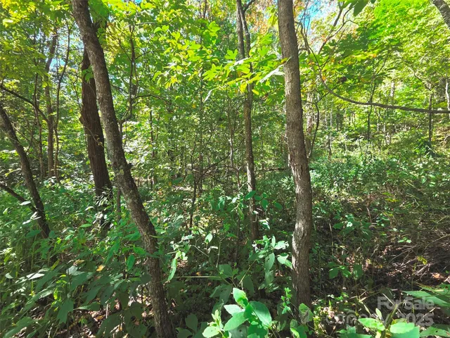 $29,500 | 123 Live Oak Loop, Unit 29, Waynesville, NC 28785