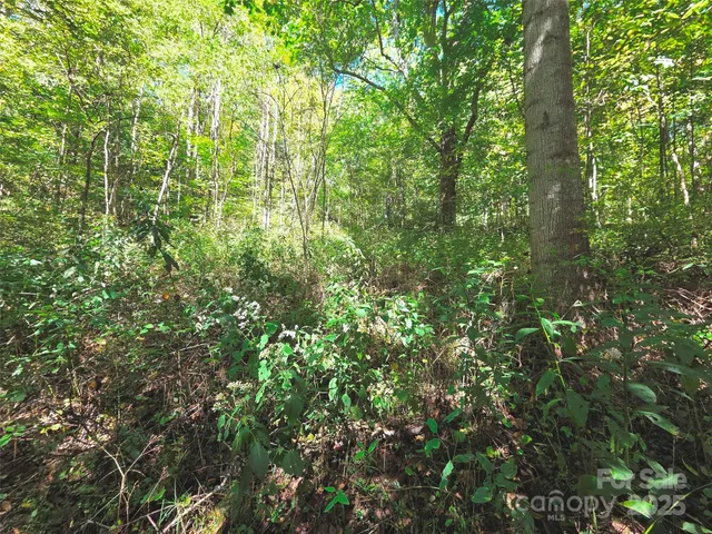 $29,500 | 123 Live Oak Loop, Unit 29, Waynesville, NC 28785