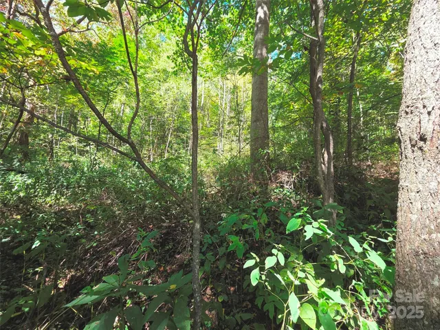 $29,500 | 123 Live Oak Loop, Unit 29, Waynesville, NC 28785