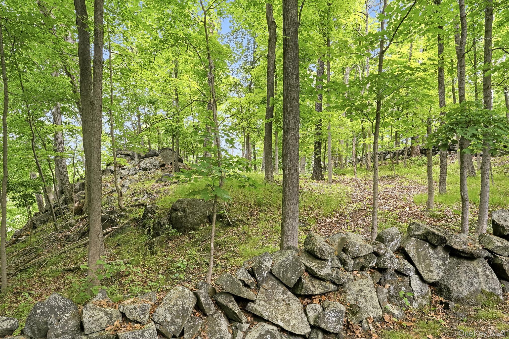 43 Powder Horn Road Cortlandt Manor, NY 10567 - Photo 32 of 35