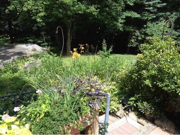 199 Dolly Road Hopkinton, NH 03229 - Photo 2 of 13
