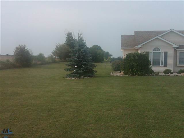 10866 Wilkes Road Yale, MI 48097 - Photo 12 of 14 This is a view of the side yard.