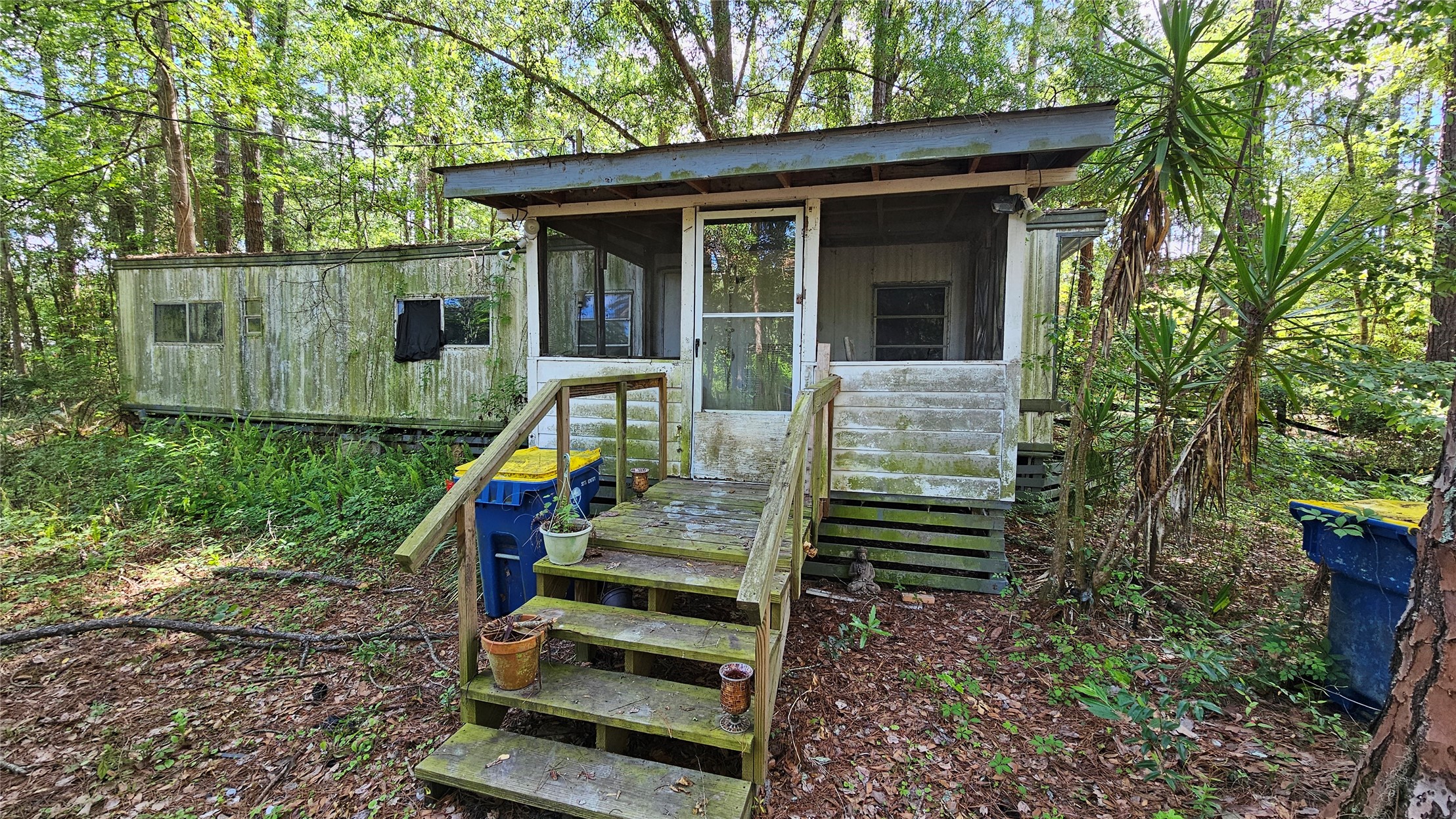 6324 Lannie Road Jacksonville, FL 32218 - Photo 4 of 60