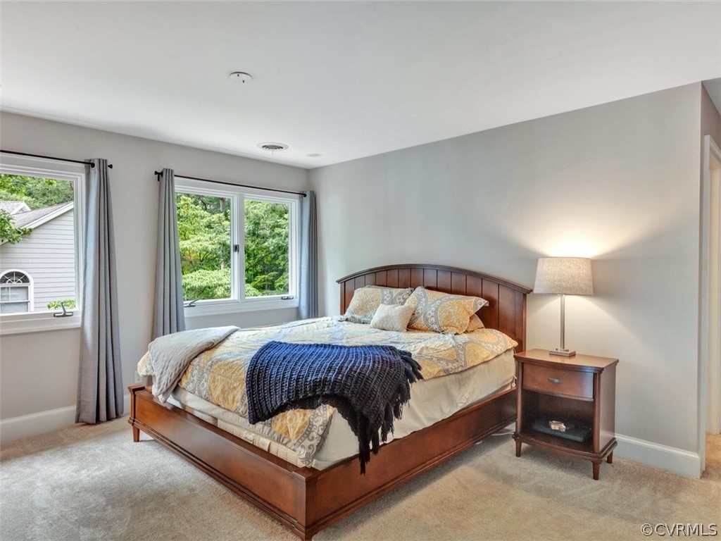 13702 Beechwood Point Road Midlothian, VA 23112 - Photo 23 of 50