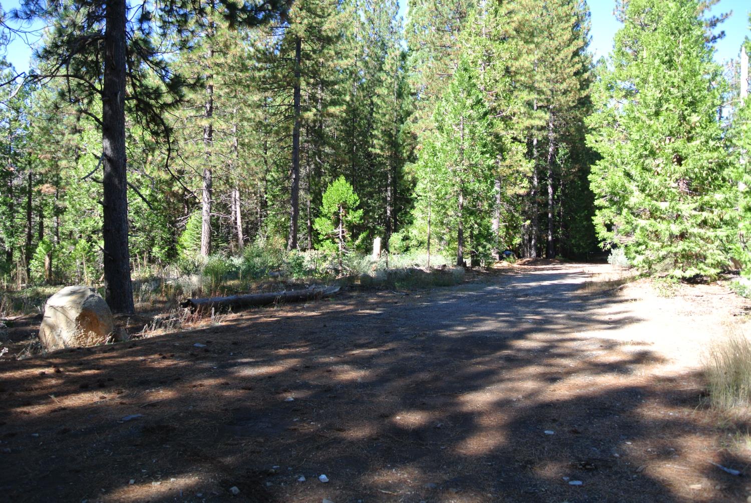 43 Foresthill Road Foresthill, CA 95631 - Photo 12 of 16 a view of outdoor space with deck and tree
