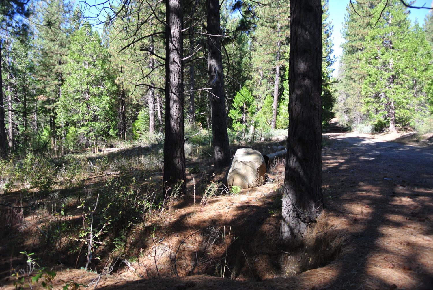 43 Foresthill Road Foresthill, CA 95631 - Photo 13 of 16