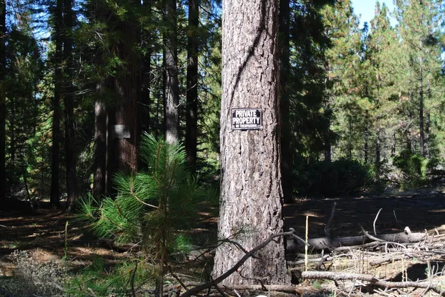 $179,000 | 43 Foresthill Road, Foresthill, CA 95631