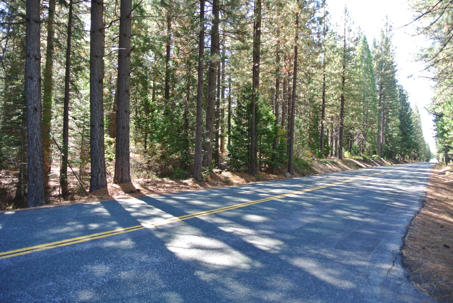 43 Foresthill Road Foresthill, CA 95631 - Photo 2 of 16 a view of backyard space and trees