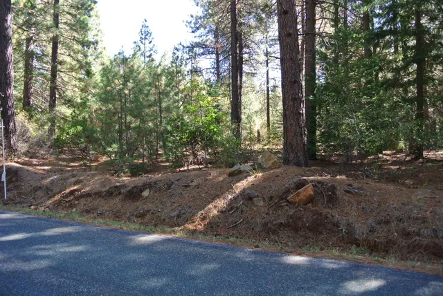 a view of backyard with green space
