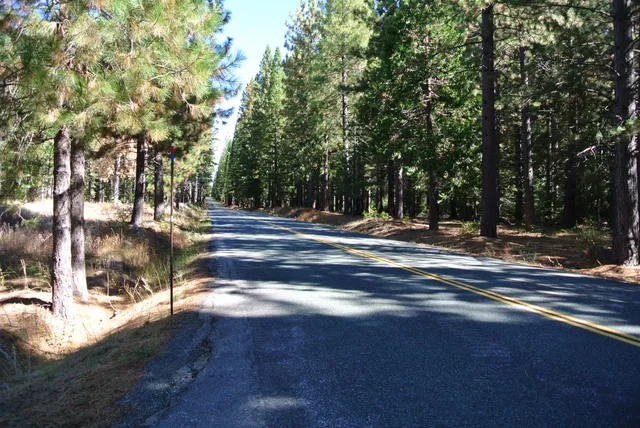 a view of road with trees