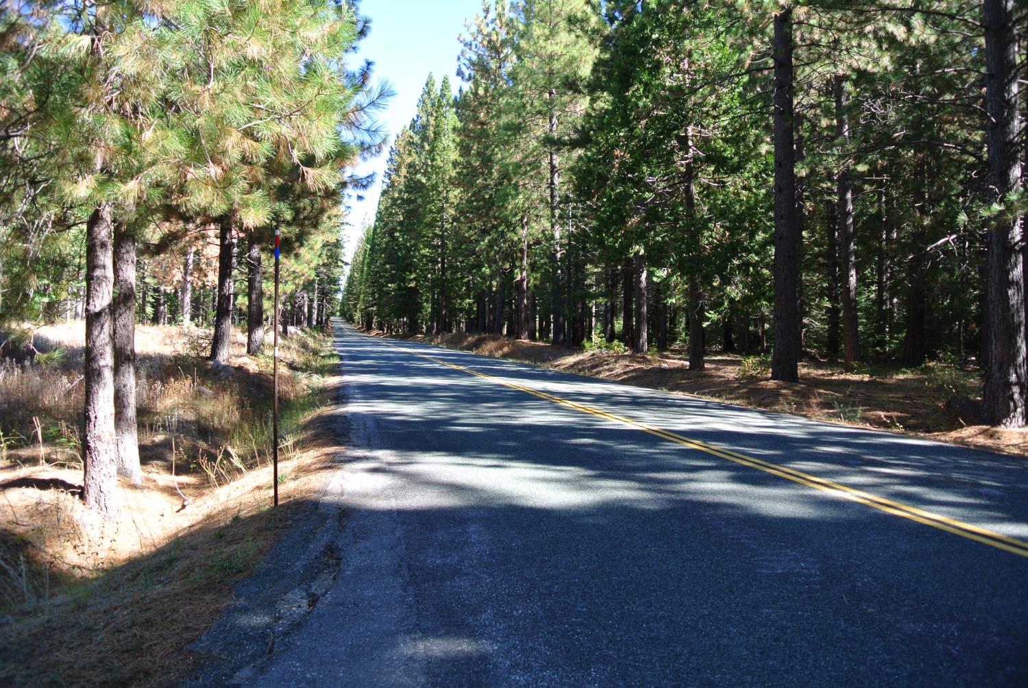 43 Foresthill Road Foresthill, CA 95631 - Photo 7 of 16 a view of road with trees