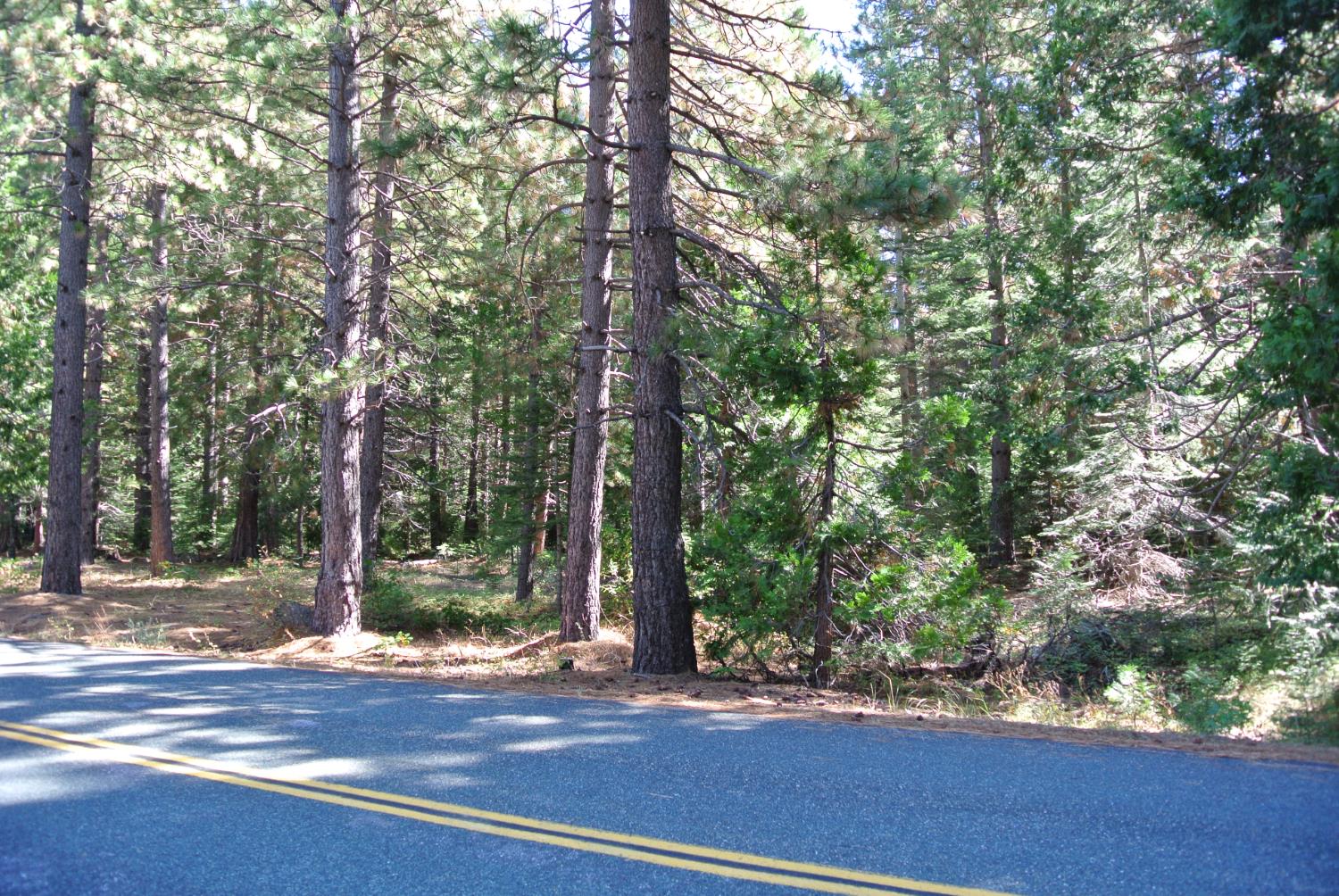 43 Foresthill Road Foresthill, CA 95631 - Photo 8 of 16 a view of a sink and trees in the background
