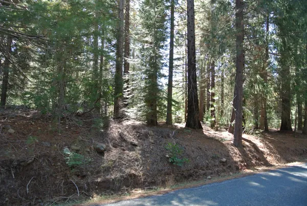 a view of outdoor space and trees