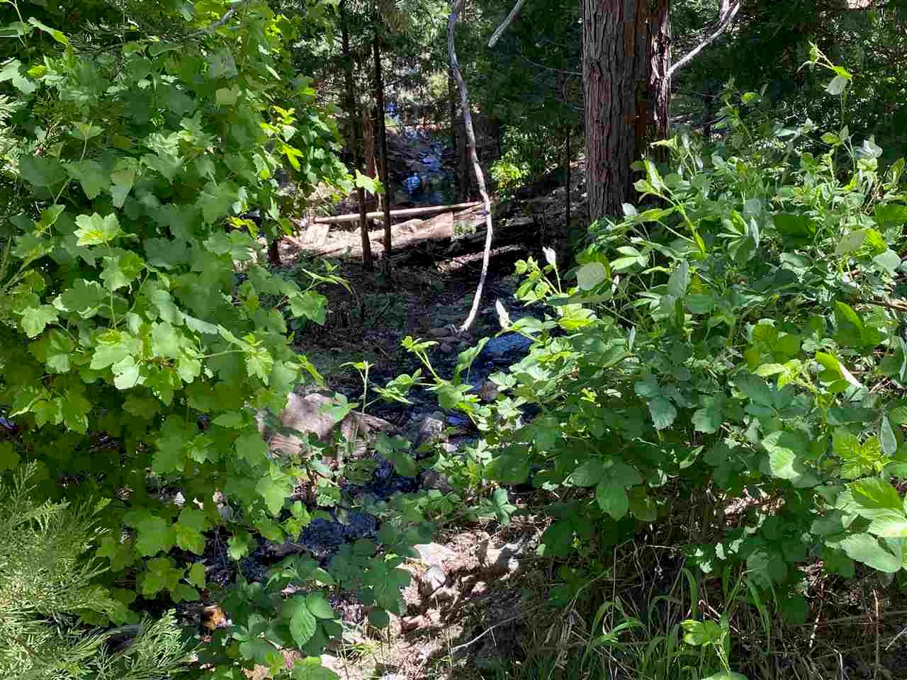 25239 Scott River Road Scott Bar, CA 96085 - Photo 25 of 27 Gallery Image 25