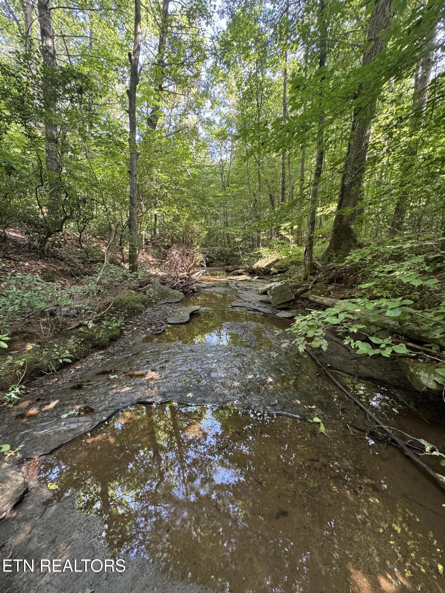 0 Brimstone Road Robbins, TN 37852 - Photo 27 of 47 IMG_3665