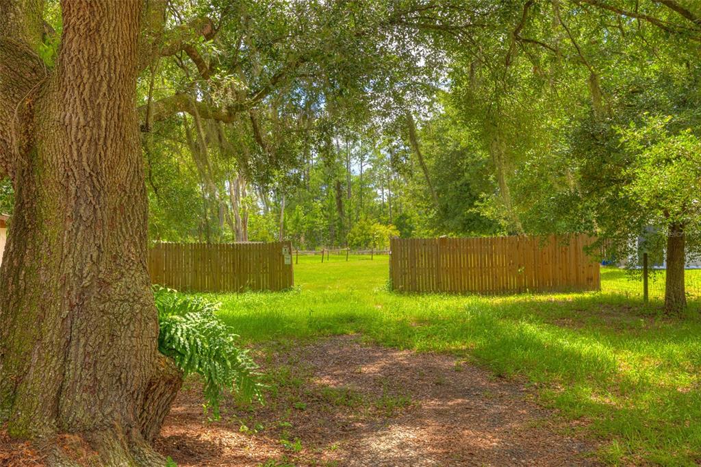 305 Padrick Avenue DeLand, FL 32720 - Photo 66 of 67 Gallery Image 66
