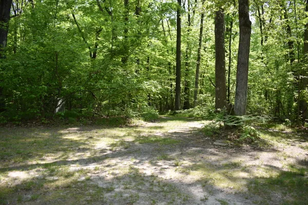 $169,000 | 2186 88th Street, Idlewild, MI 49642