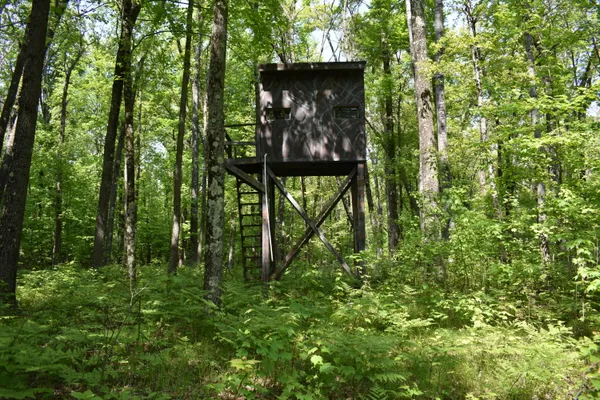 $169,000 | 2186 88th Street, Idlewild, MI 49642