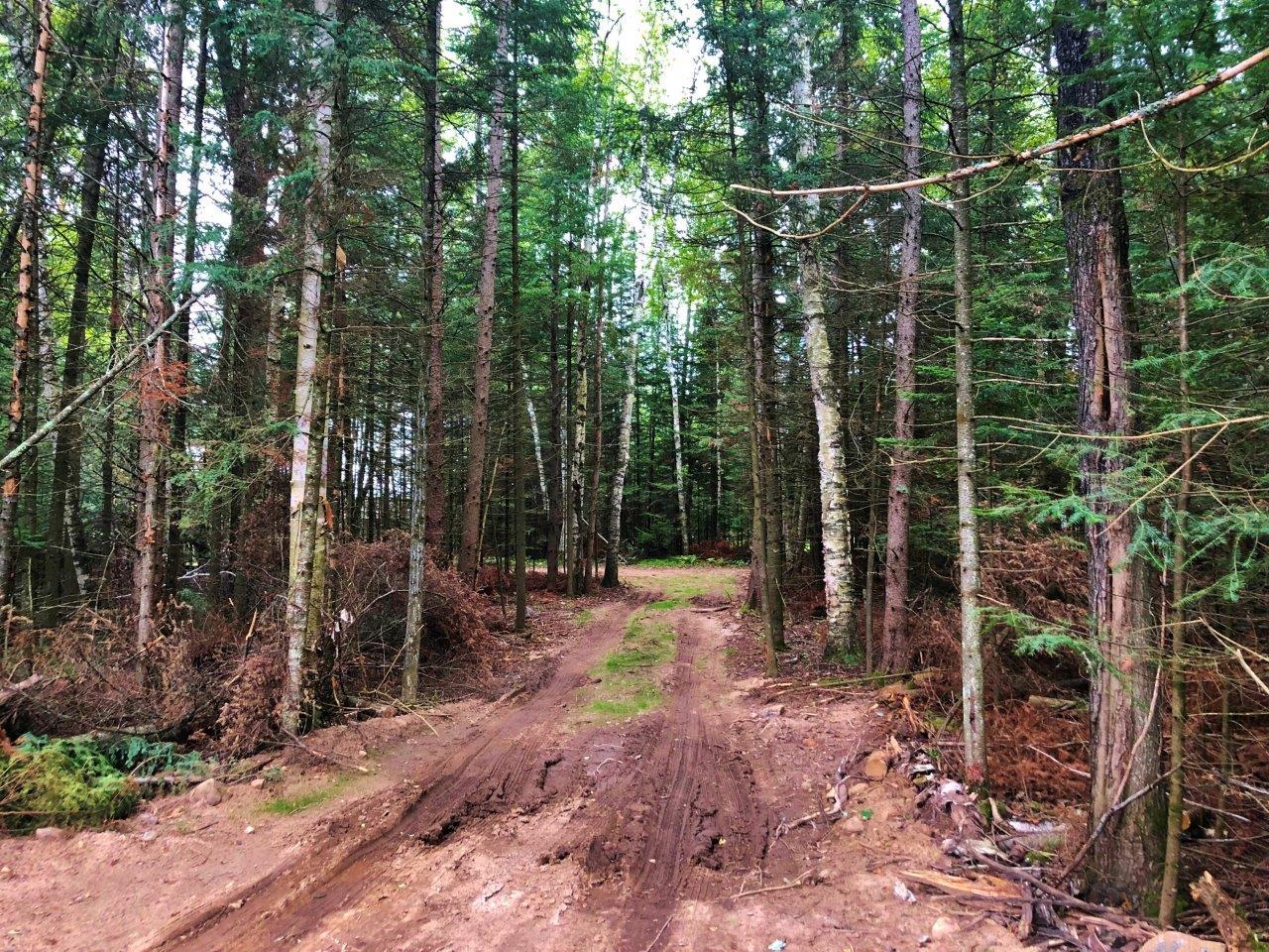 2784 Range Line Road Rhinelander, WI 54501 - Photo 13 of 34 Gallery Image 13