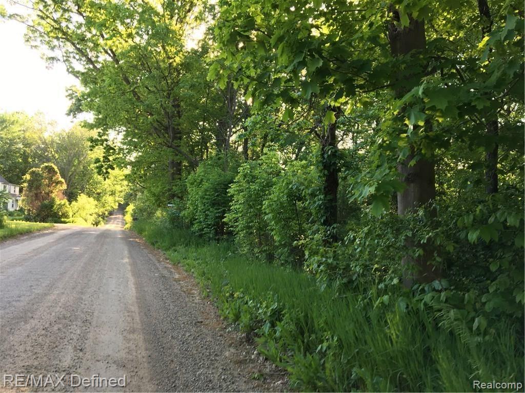 Parcel H East Rattalee Lake Road Holly, MI 48442 - Photo 5 of 13