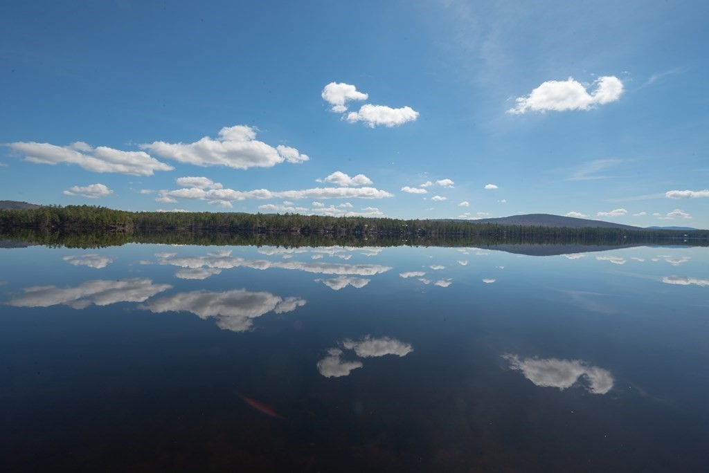 401 Plains Road Silver Lake, NH 03875 - Photo 8 of 37 Gallery Image 8