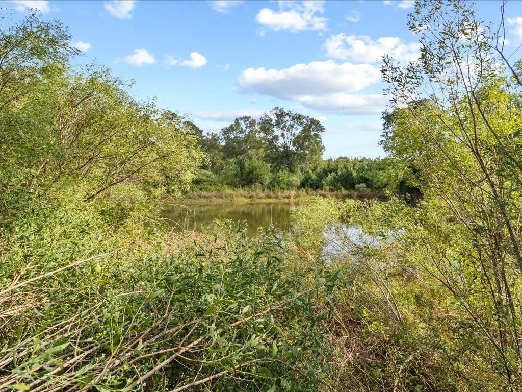 55345 Easley Road Loranger, LA 70446 - Photo 31 of 34