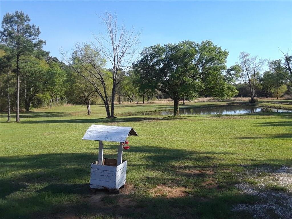 55345 Easley Road Loranger, LA 70446 - Photo 33 of 34