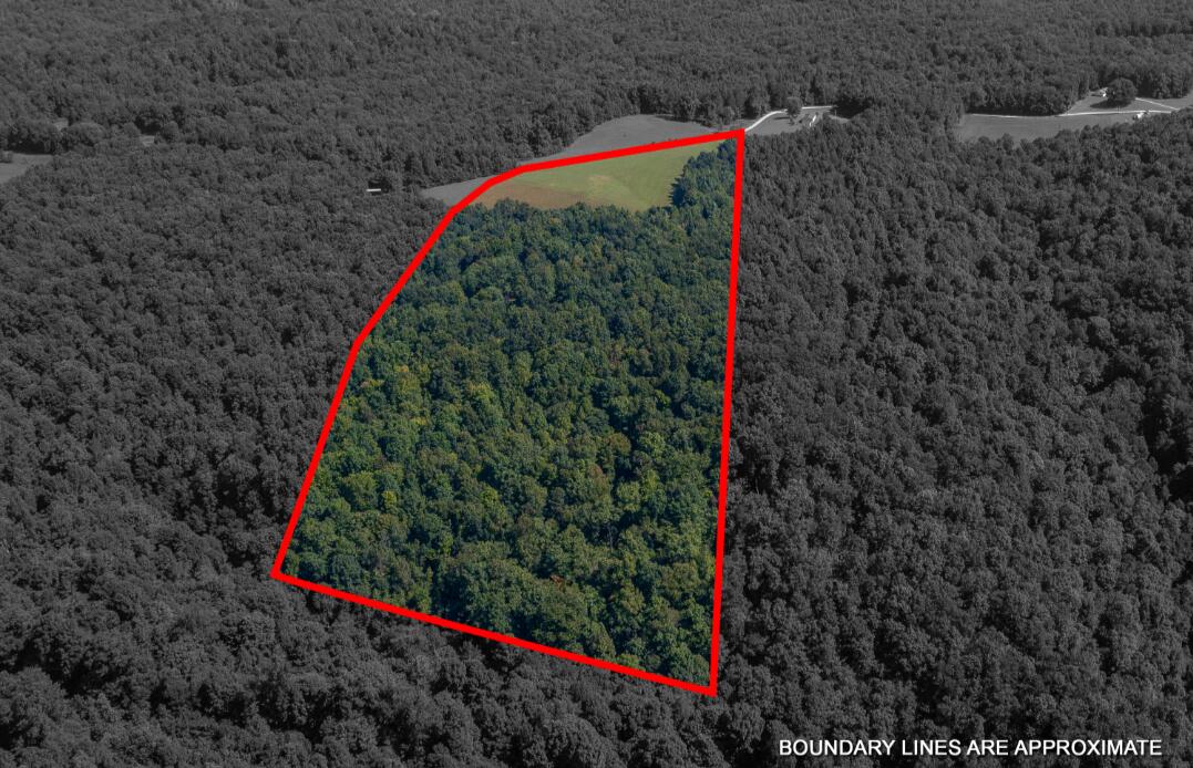 Tbd Boone Ridge Road Garrison, KY 41141 - Photo 9 of 10 9105