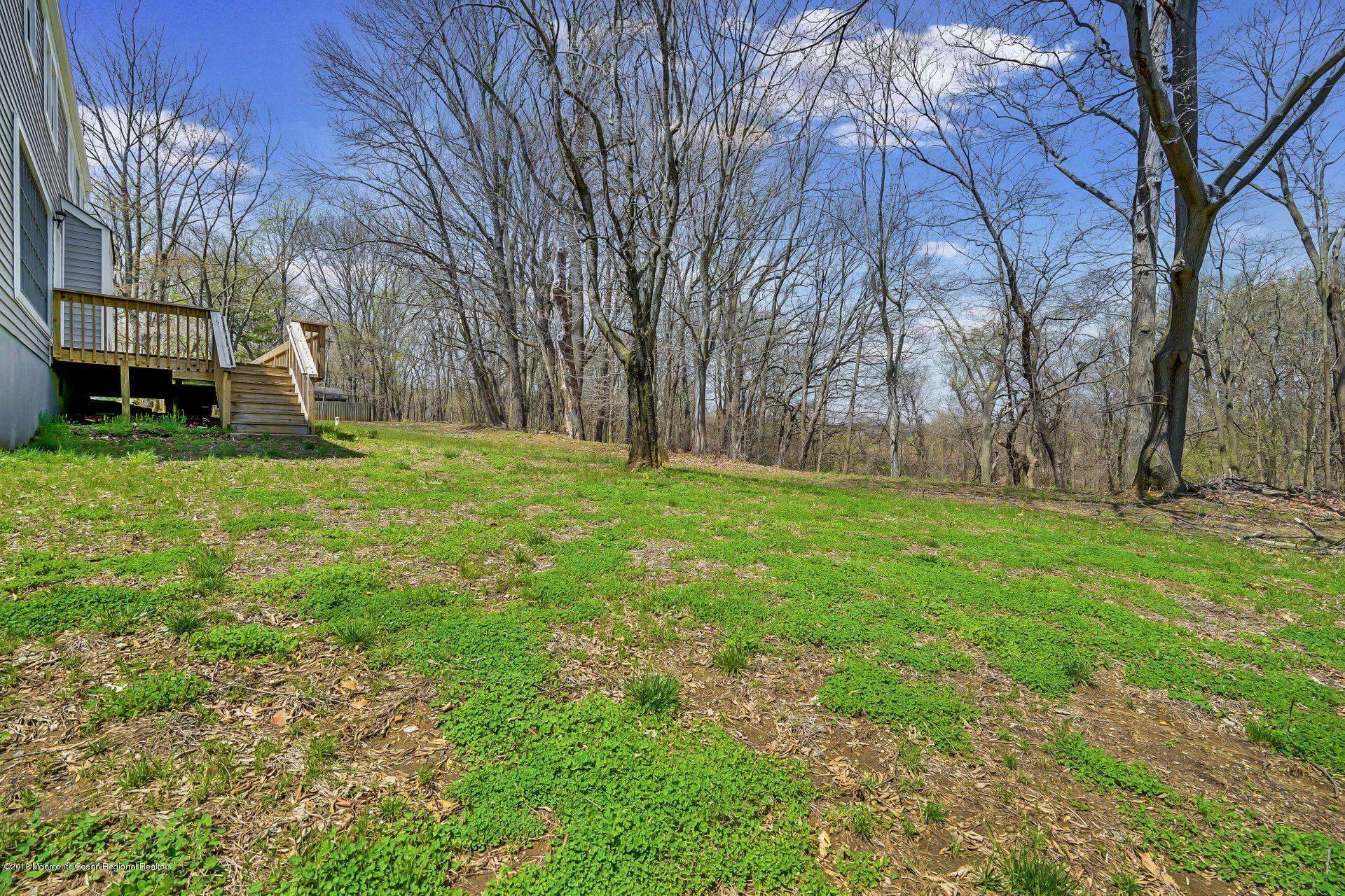 8 Saddle Ridge Road Colts Neck, NJ 07722 - Photo 32 of 35 a fire hydrant in the middle of a field