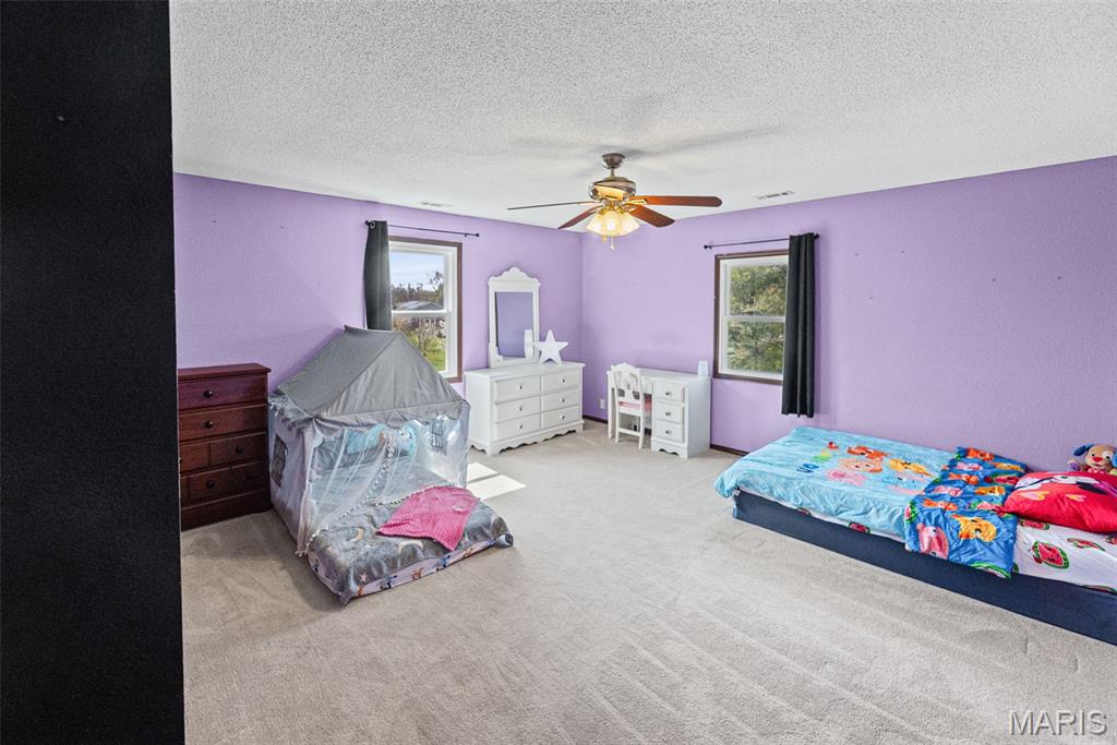 24 Bernhardt Road Lebanon, IL 62254 - Photo 31 of 63