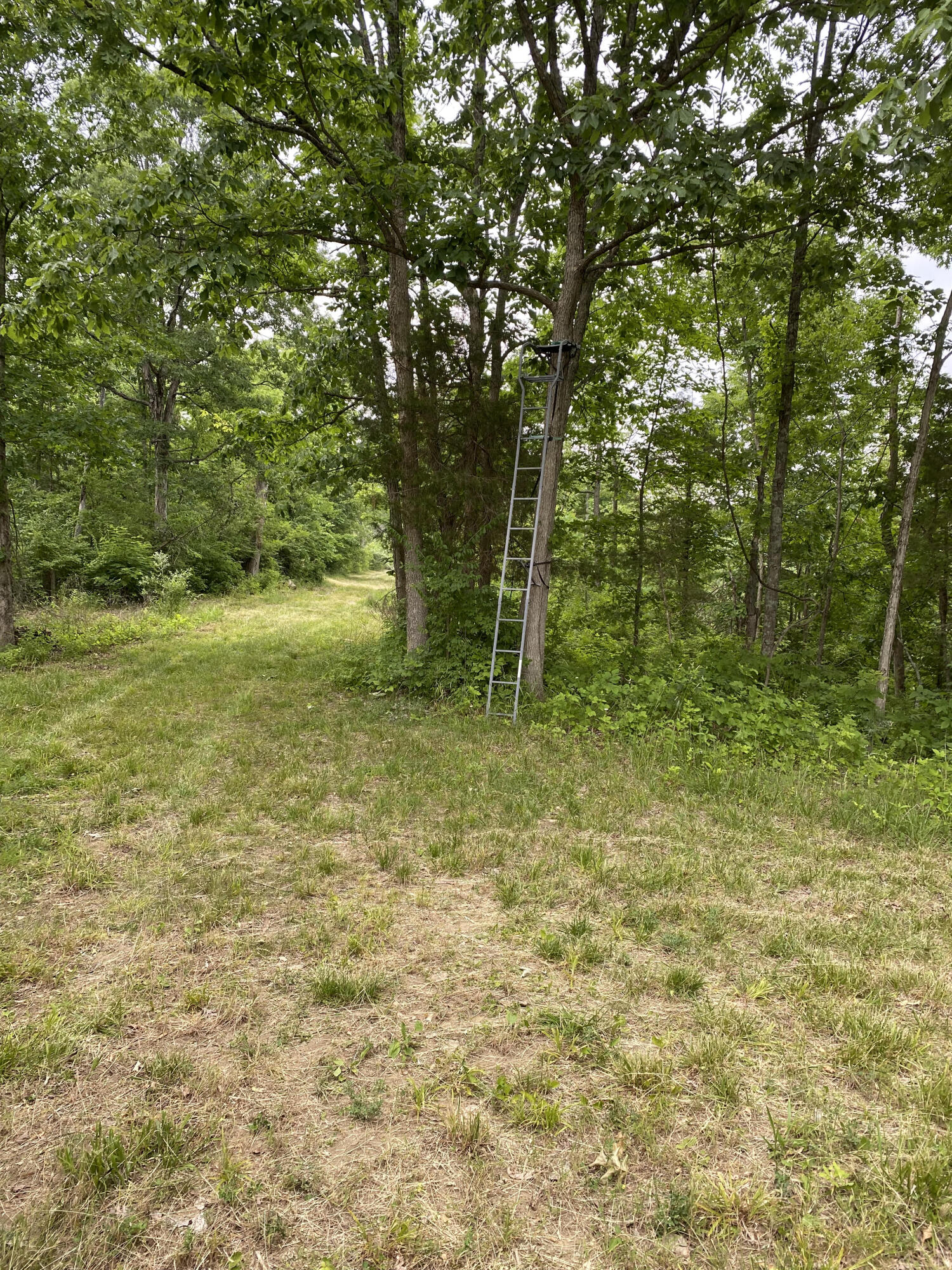1100 Fairview Road Williamstown, KY 41097 - Photo 60 of 74 unnamed