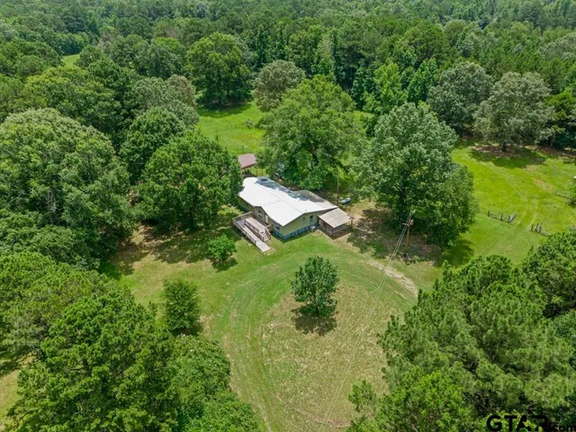 a view of a big yard with large trees