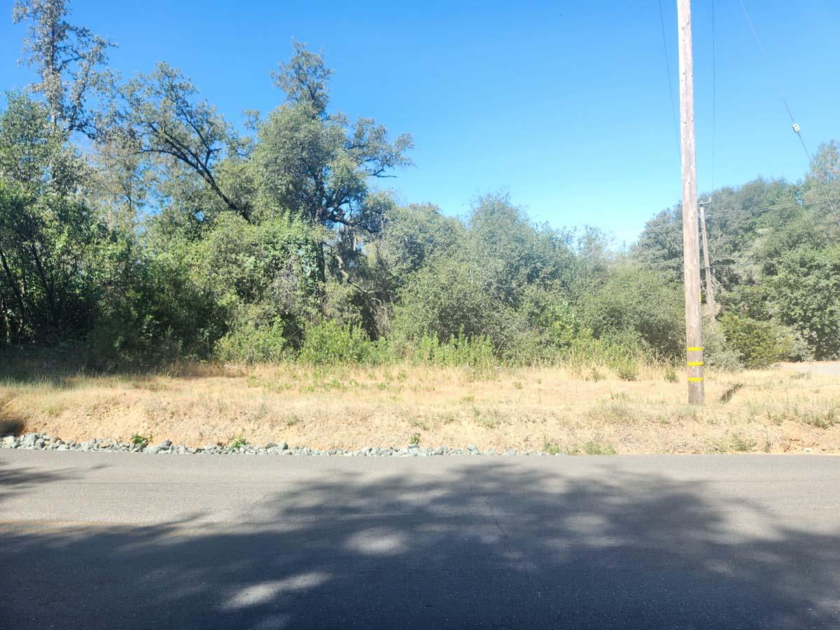 0 Texas Hill Road Oregon House, CA 95962 - Photo 13 of 32 a view of a yard with trees