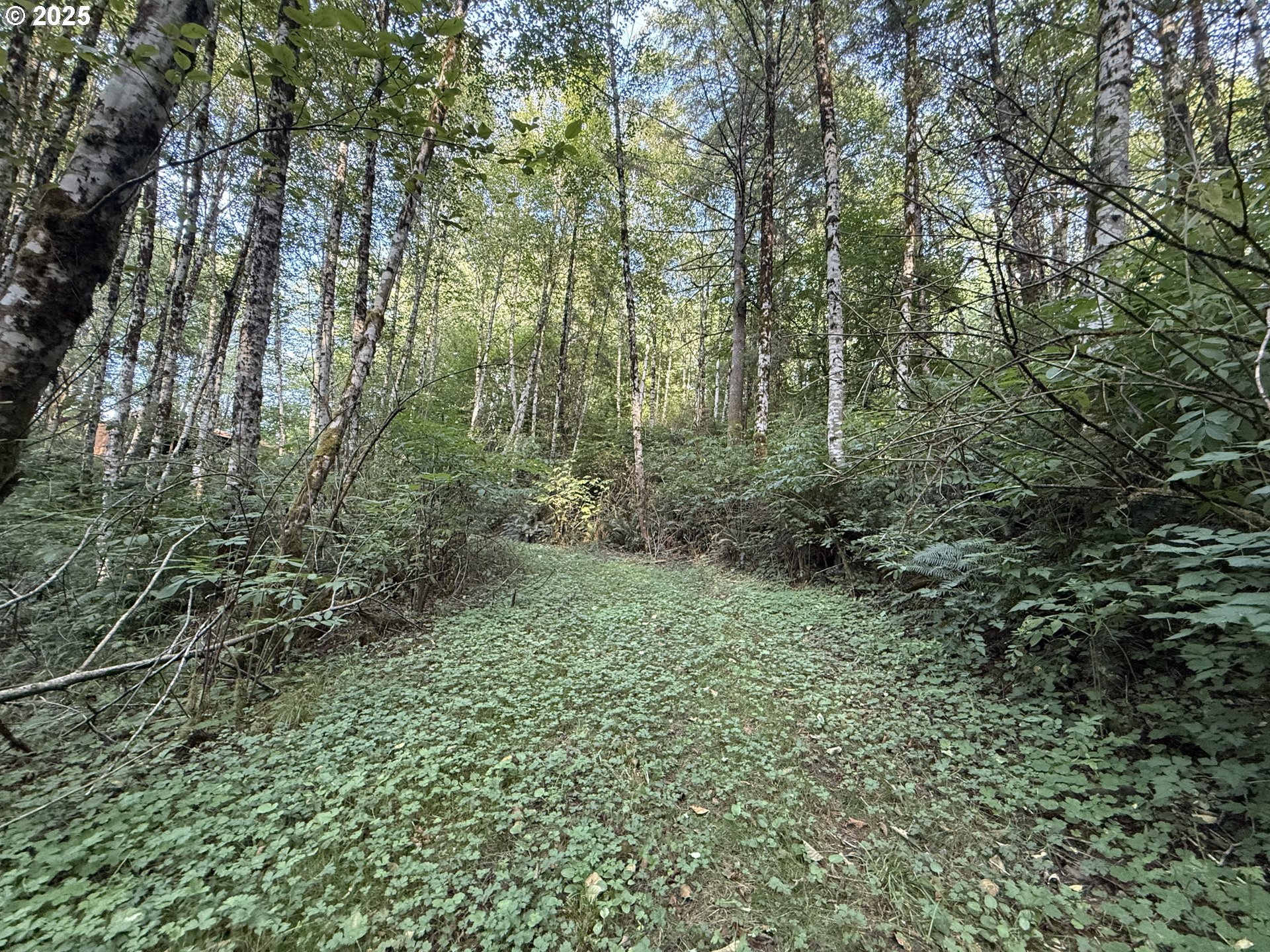 70407 Schumacher Road Rainier, OR 97048 - Photo 18 of 34