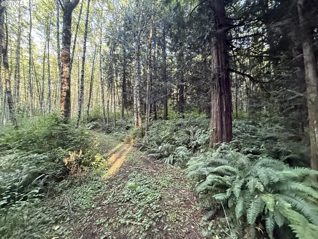 $524,000 | 70407 Schumacher Road, Rainier, OR 97048