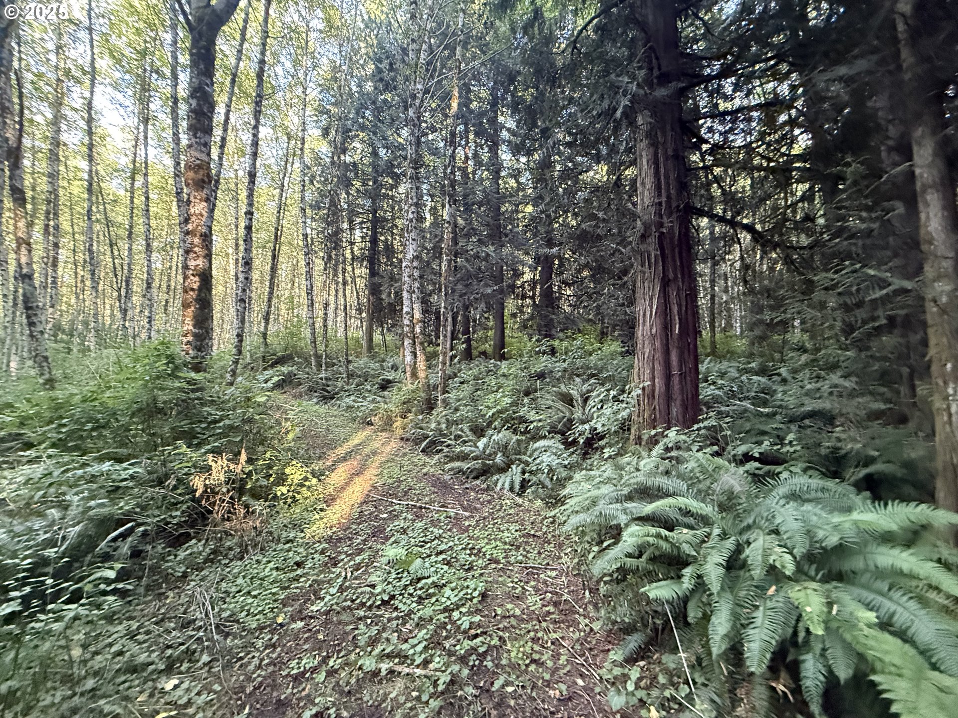 70407 Schumacher Road Rainier, OR 97048 - Photo 19 of 34