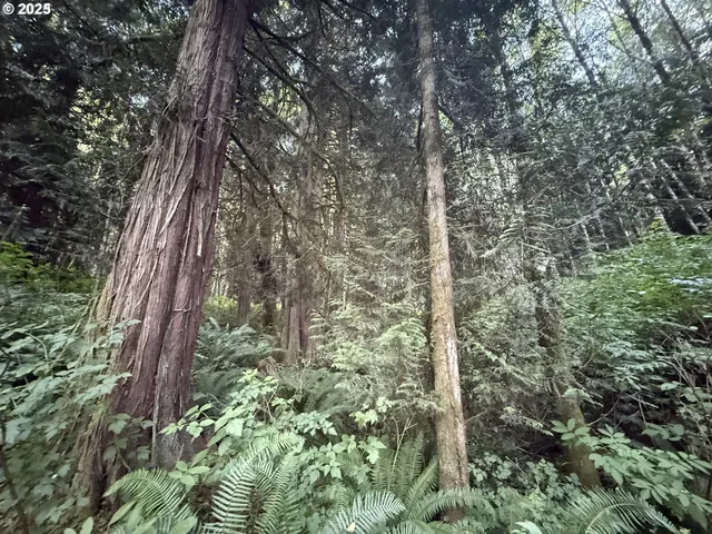 $524,000 | 70407 Schumacher Road, Rainier, OR 97048