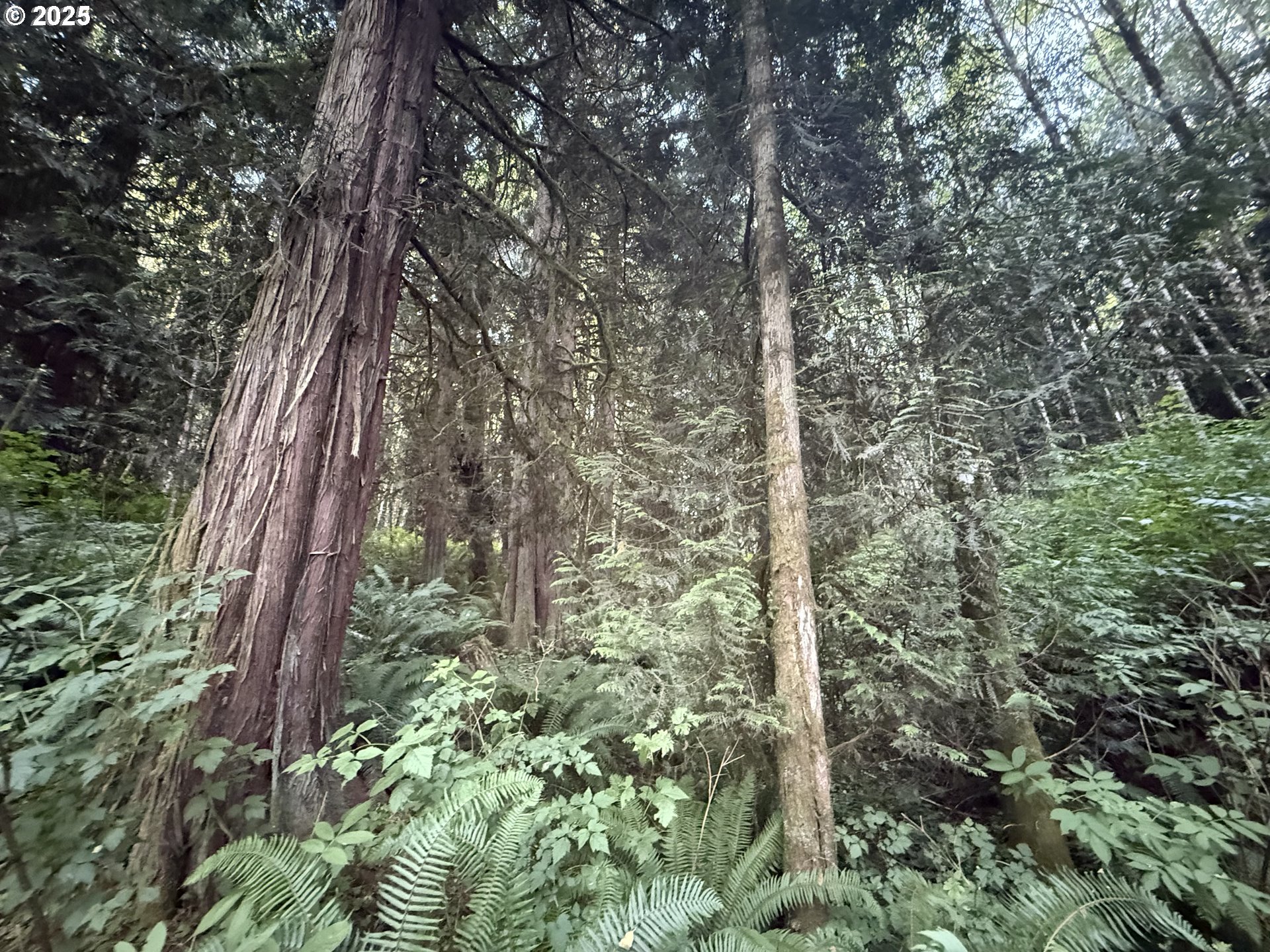70407 Schumacher Road Rainier, OR 97048 - Photo 21 of 34