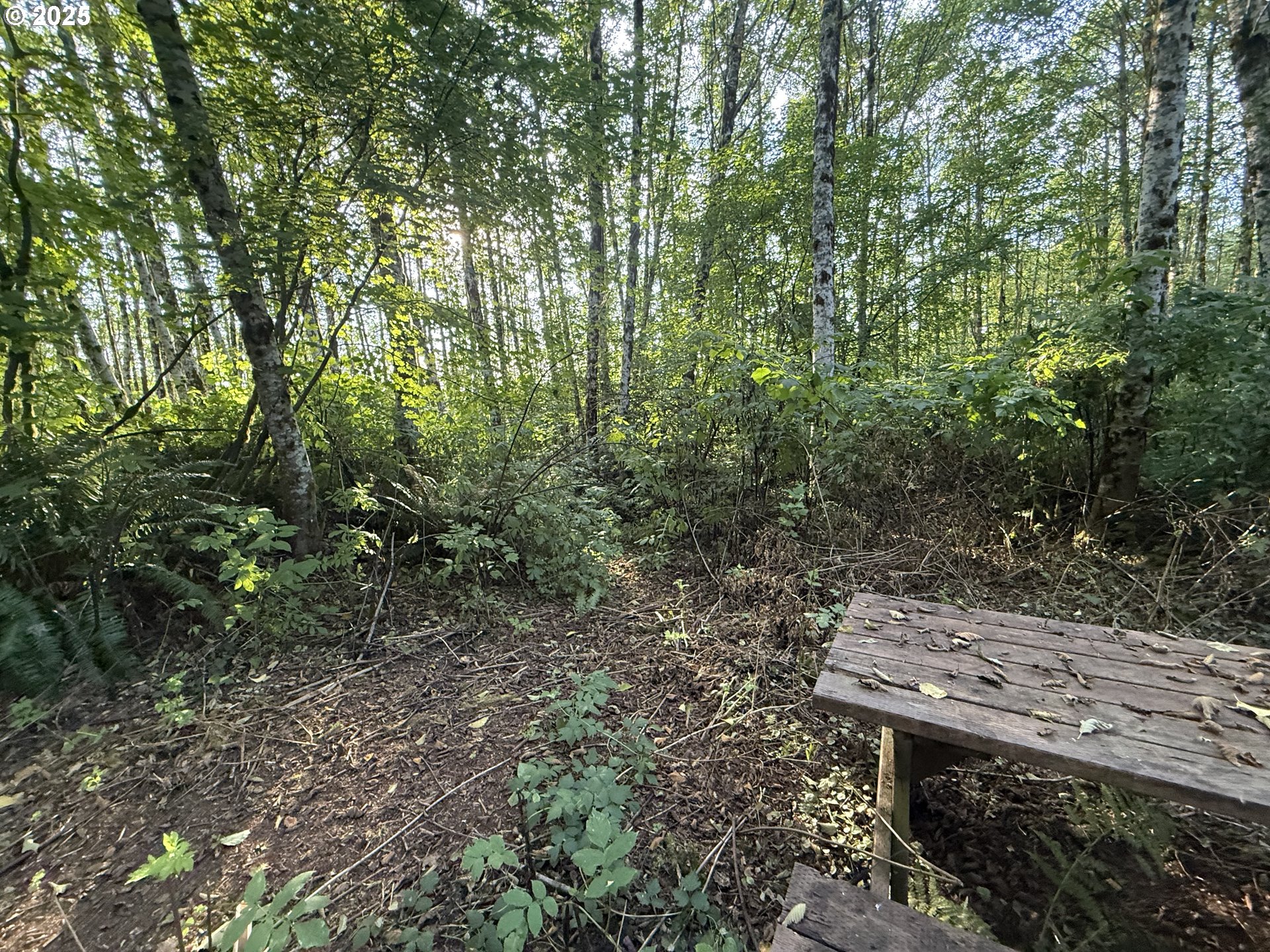 70407 Schumacher Road Rainier, OR 97048 - Photo 23 of 34