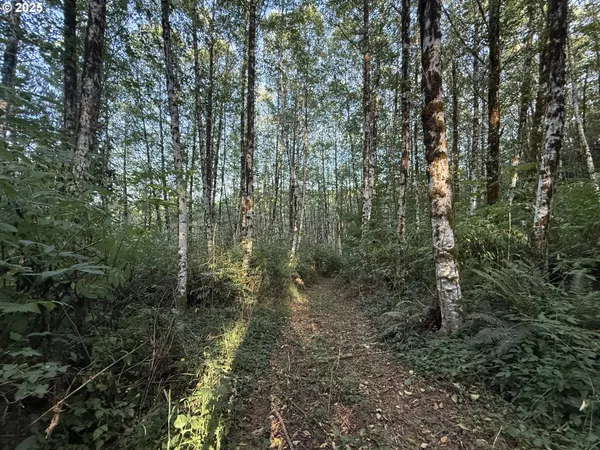 $524,000 | 70407 Schumacher Road, Rainier, OR 97048