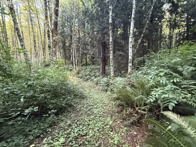 $524,000 | 70407 Schumacher Road, Rainier, OR 97048