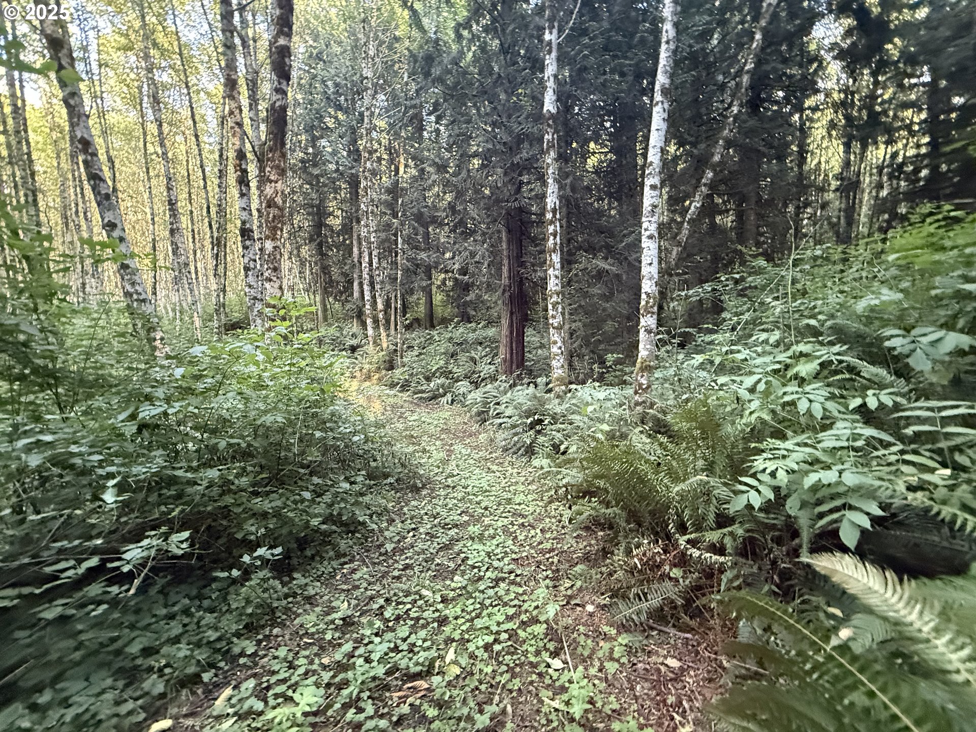 70407 Schumacher Road Rainier, OR 97048 - Photo 32 of 34