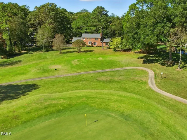 a view of a yard with plants and trees