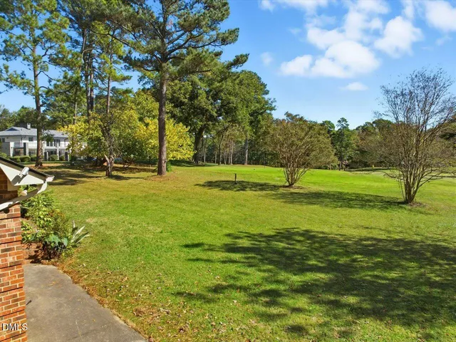 a view of a big yard with a large trees
