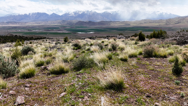 123 West Tbd Willow Spring Road Eureka, UT 84628 - Photo 26 of 60 Expansive landscape featuring diverse natural vegetation and distant snow-capped mountains